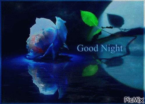 Blue Rose Good Night GIF - BlueRose GoodNight SweetDreams - Discover ...