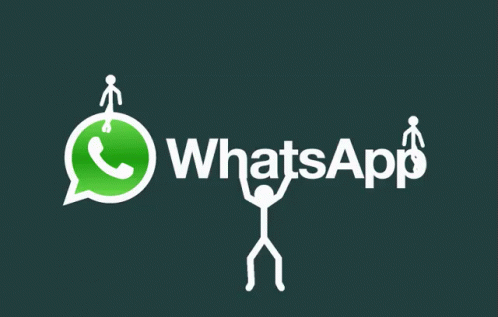  Whatsapp GIFs Tenor