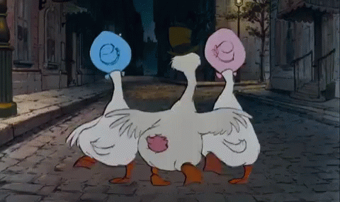 Image result for duck duck goose goose gif