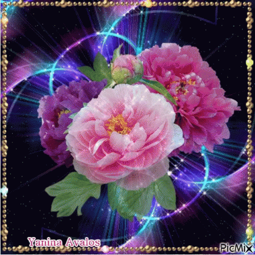 pink purple gif pink