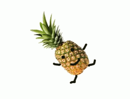 Image result for be a pineapple gif