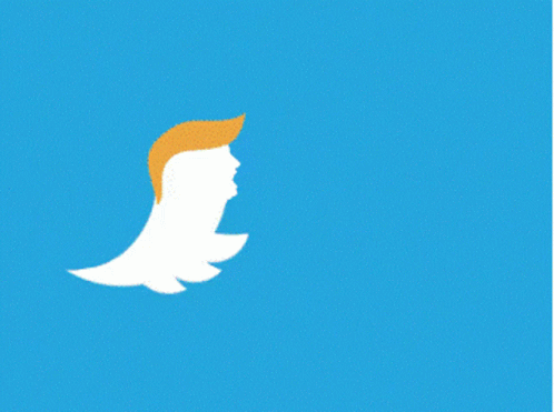 Trump Twitter GIF - Trump Twitter Tweet - Discover & Share GIFs