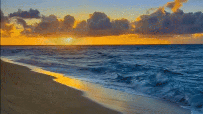 Gifs That Will Make You Miss the Beach - Spectrum Resorts