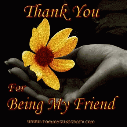 Flower Thank You Gif Flower Thankyou Friendship Discover Share
