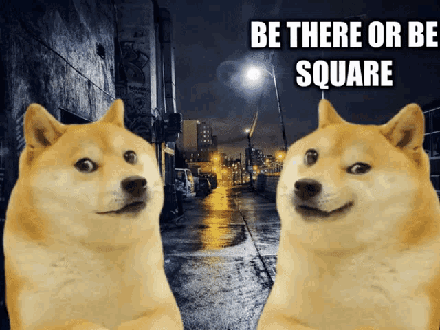 Doge Be There Or Be Square GIF - Doge BeThereOrBeSquare Transform - Discover & Share GIFs