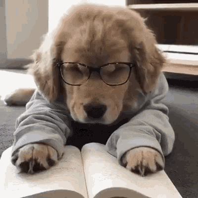 Read Book GIF - Read Book Sleepy GIFs