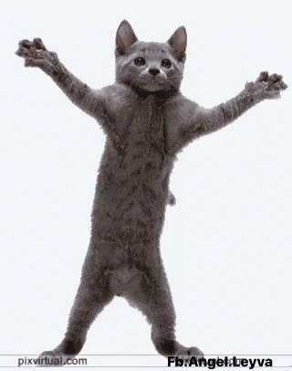 Avatar de Usuario