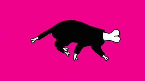 Cat Run GIF - Cat Run RunningLate - Discover & Share GIFs