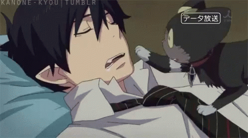 cat wakeup gif cat wakeup anime discover share gifs