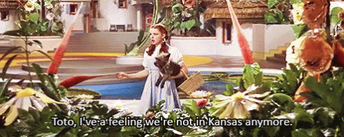 Image result for we are not in kansas anymore gif