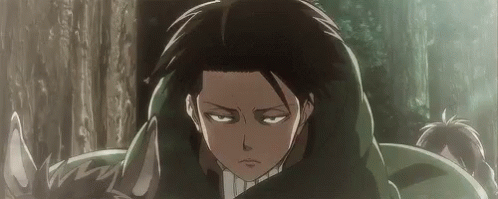 Featured image of post Levi Ackerman Gif : Sounds perfect wahhhh, i don&#039;t wanna.