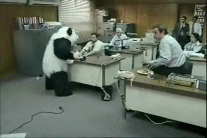 残業 職場 パンダチーズ Never Say No To Panda Gif Office Work Overtime Discover Share Gifs