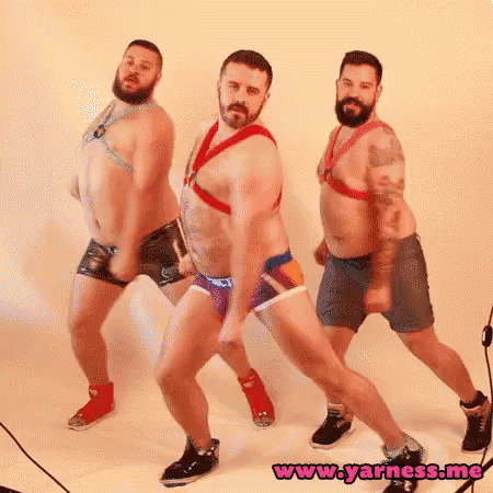 Gay Bear GIF - Gay Bear Dance - Discover & Share GIFs