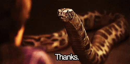 Thanks Snake GIF - Thanks Snake HarryPotter - Discover & Share GIFs