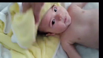 Bebe Feliz Gifs Tenor Bebe Feliz Gifs Tenor