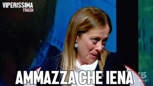 images Giorgia Meloni Meme viperissima giorgia meloni gif viperissima giorgiameloni lintervista discover share gifs