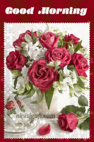 Good Morning Roses GIF - GoodMorning Roses - Discover & Share GIFs