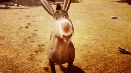 Image result for burro shrek gifs talking