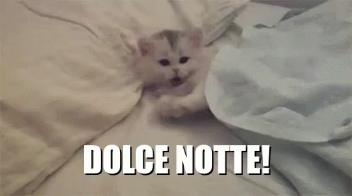 Dolce Notte Buona Notte Sogni Doro Gatto Gattino Micio Dorme Dormi