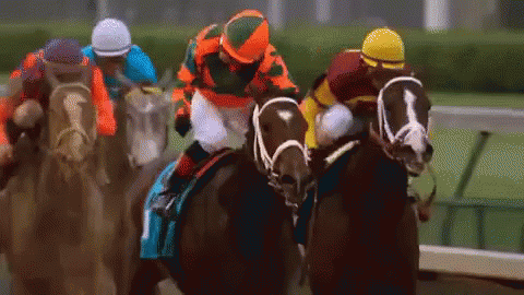 Horse Race Gifs Tenor