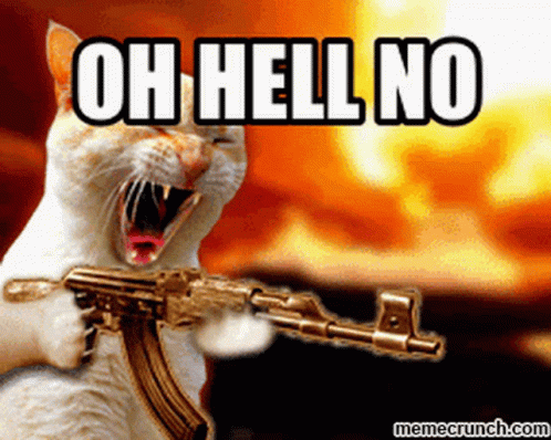 Hell No Hell To The No GIF - HellNo HellToTheNo Die - Discover & Share GIFs