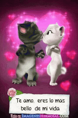 picture Gif Tenor Te Amo te mo gif te mo discover share gifs