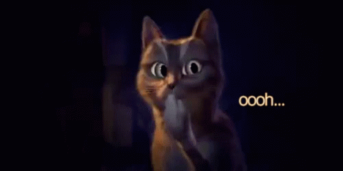 oohhh snap gif oohhh snap cat discover share gifs