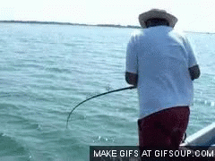 Fishing Fail GIF - Fish Fishing BigCatch - Discover & Share GIFs