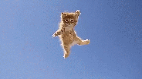 kitty jump nuclear bomb gif