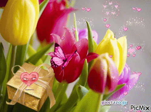 Flowers Tulips GIF - Flowers Tulips Hearts - Discover & Share GIFs