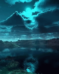 amazing nature gif amazing
