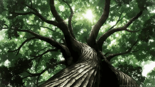 The Ancient Magus Bride Tree GIF - TheAncientMagusBride Tree Leaves GIFs