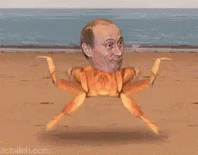 tenor.gif