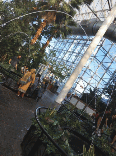 navy pier gif navy