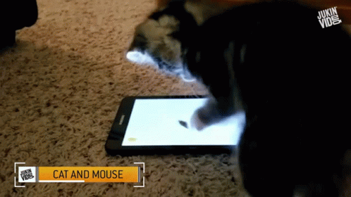 Cat Chasing Mouse Gifs Tenor Cat Chasing Mouse Gifs Tenor