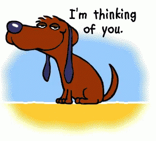 Thinking Of You Dog GIF - ThinkingOfYou Dog Wink GIFs