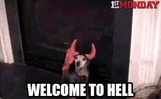 Welcome To Hell Dog Gif Welcometohell Dog Discover Share Gifs Welcome To Hell Dog Gif Welcometohell Dog Discover Share Gifs