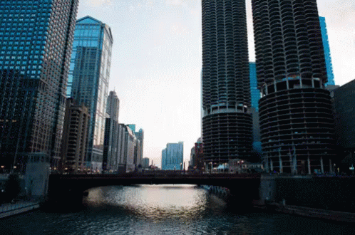 chicago gif chicago discover