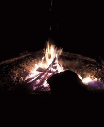 bonfire gif bonfire discover