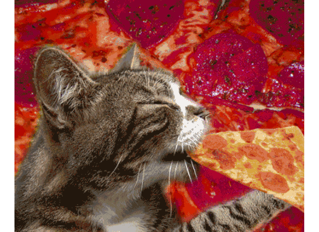 Cats Get Hungry Too GIF Munchies Hungry Cats Discover & Share GIFs