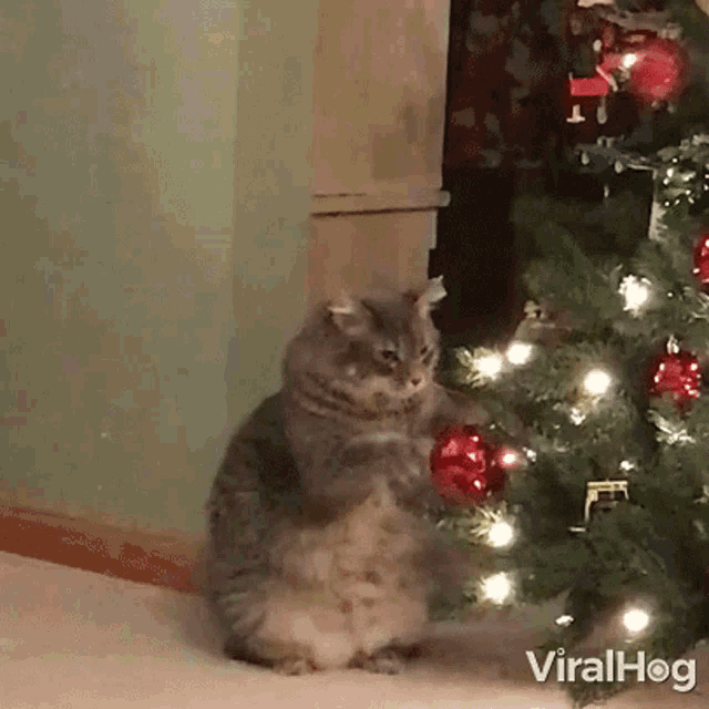 Kitty Claws Christmas Tree Cat Playing With Christmas Tree GIF