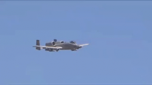 tenor.gif?itemid=16976749