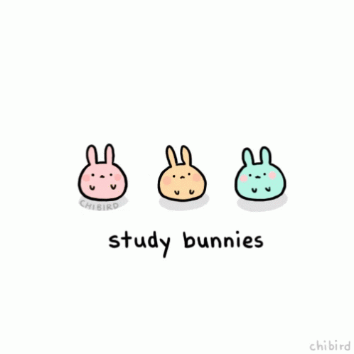 Study buns