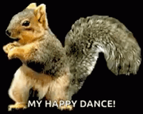 Squirrel Dance Gifs Tenor Squirrel Dance Gifs Tenor