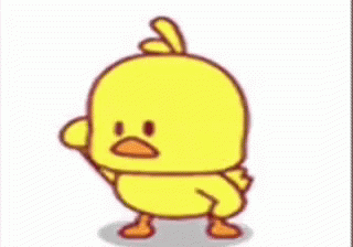 duck dancing gifs tenor