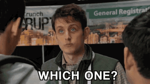Which one? Silicon Valley gif