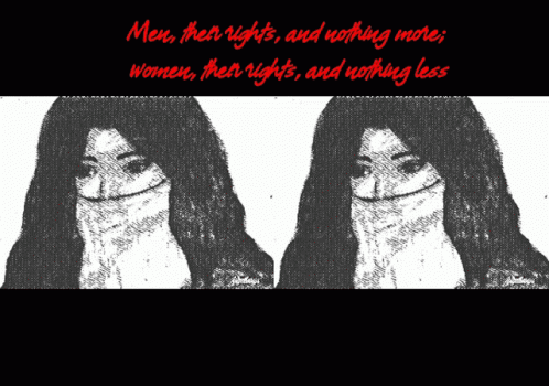 Vrouwenrechten niets minder GIF - Vrouwenrechtenrechten niets minder GIF's