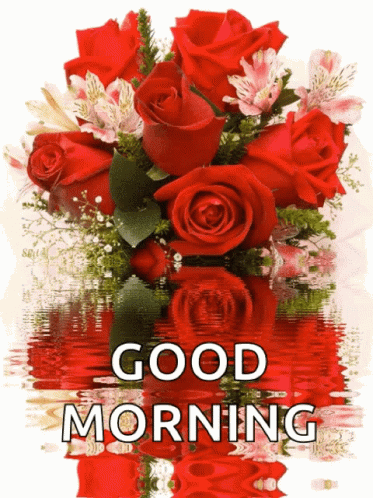 Good Morning Roses GIF - GoodMorning Roses Rose - Discover & Share GIFs