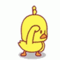 dancing chicken gif dancing