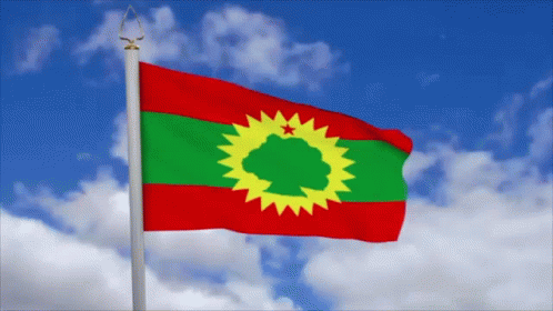 Alaaba Oromia Flag GIF - AlaabaOromia Flag Oromo GIFs